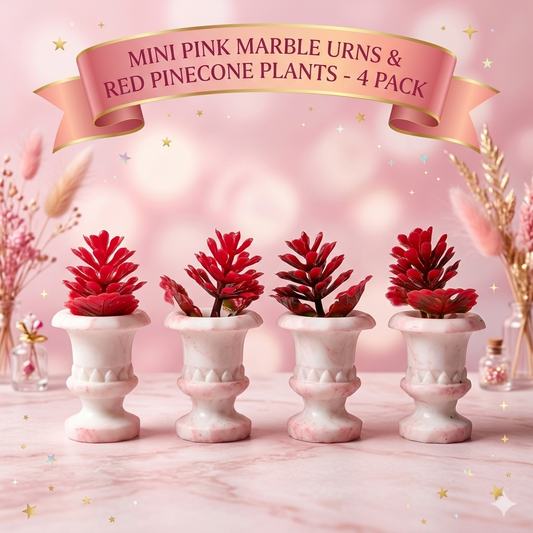 Mini Pink Marble Plants Miniature (Pack of 4)